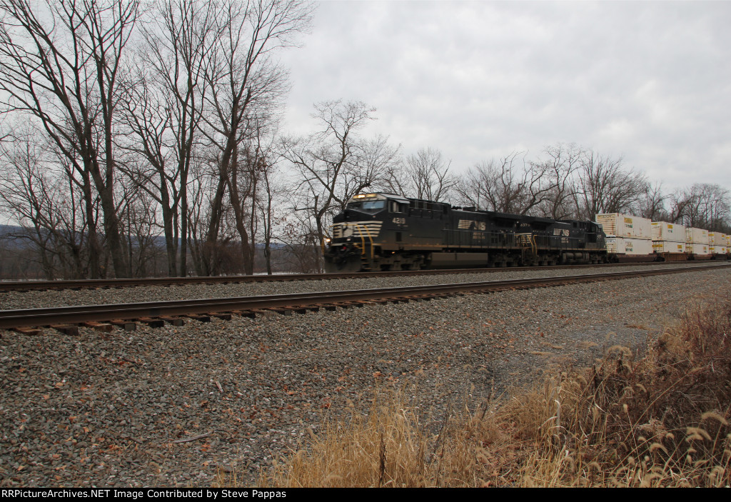 NS 4219 with train 21E